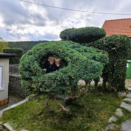 Huette Auf 1000M Hoehe In Moenichkirchen. Экстерьер фото