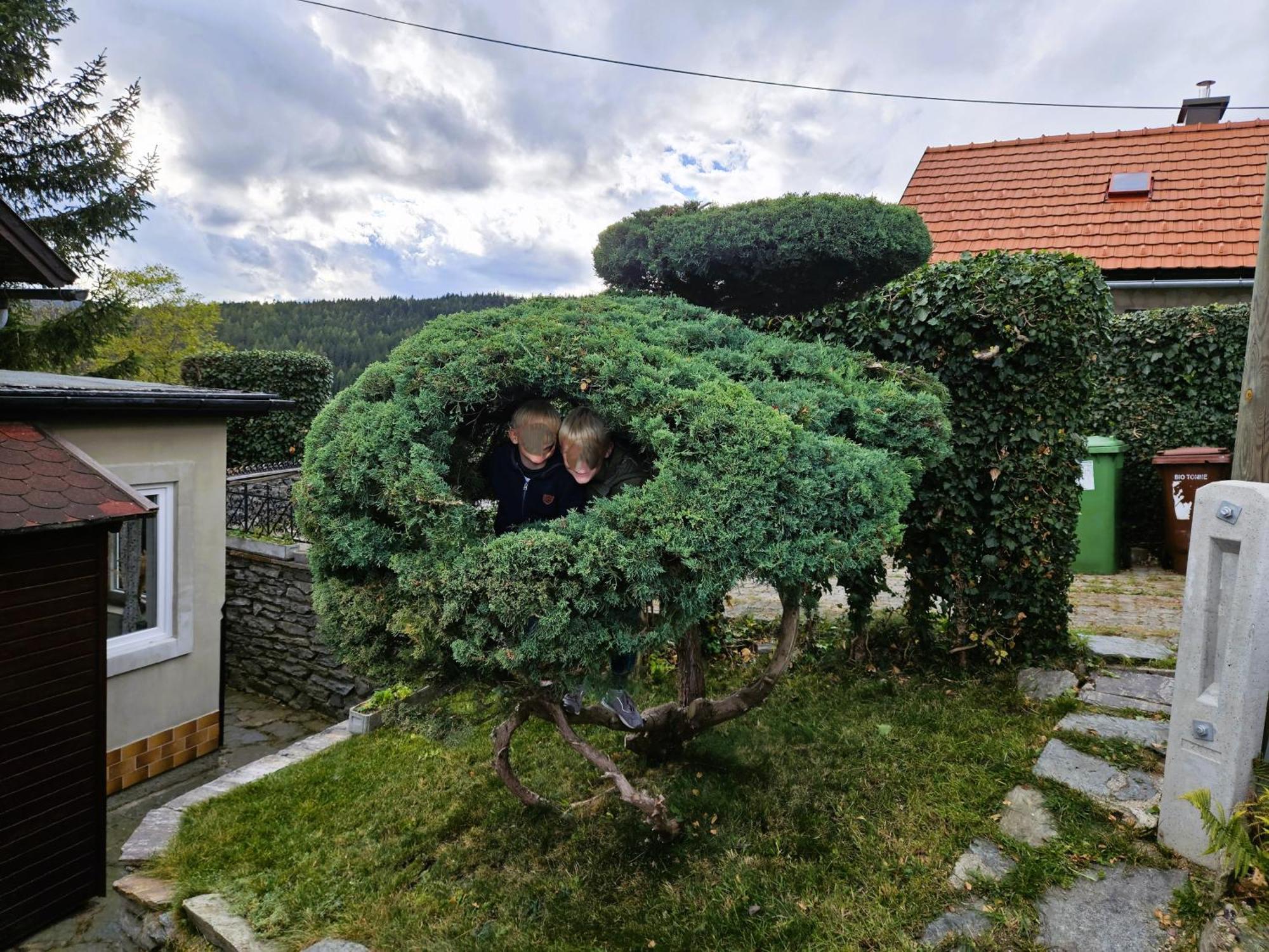 Huette Auf 1000M Hoehe In Moenichkirchen. Экстерьер фото