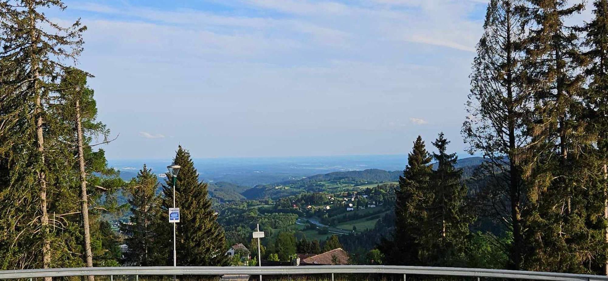 Huette Auf 1000M Hoehe In Moenichkirchen. Экстерьер фото